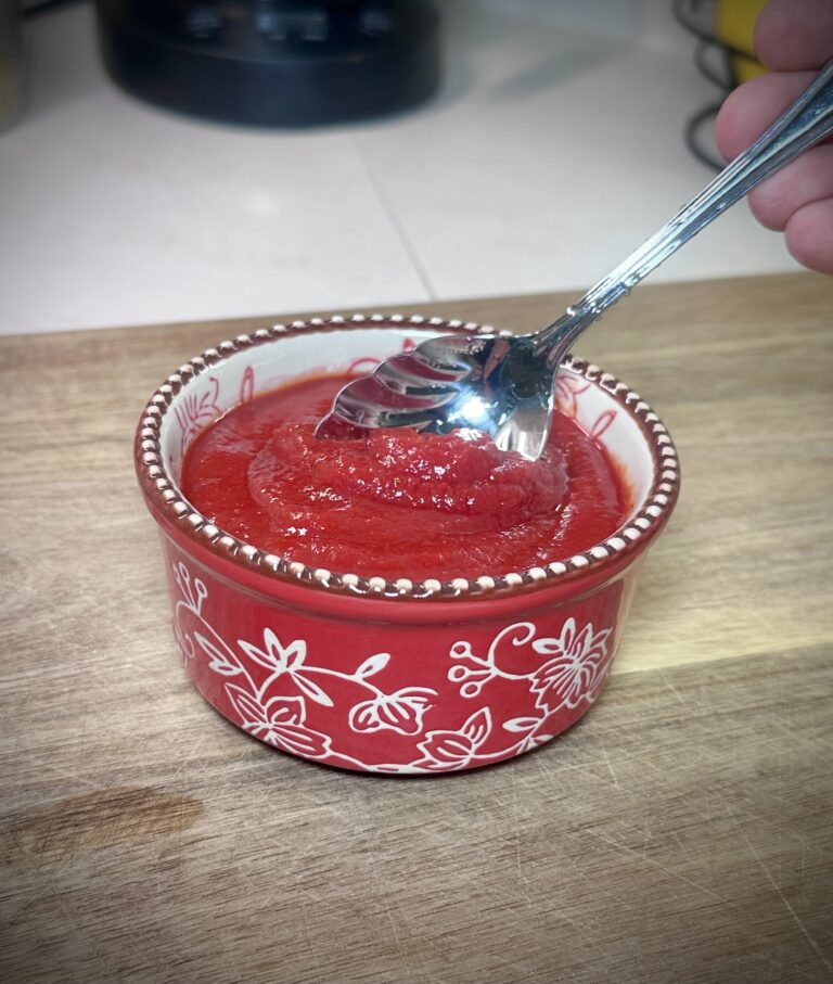 Homemade Ketchup (Alpha-Gal Friendly and Dairy Free)